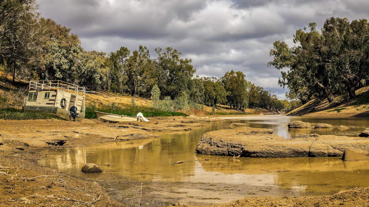 Darling River 4