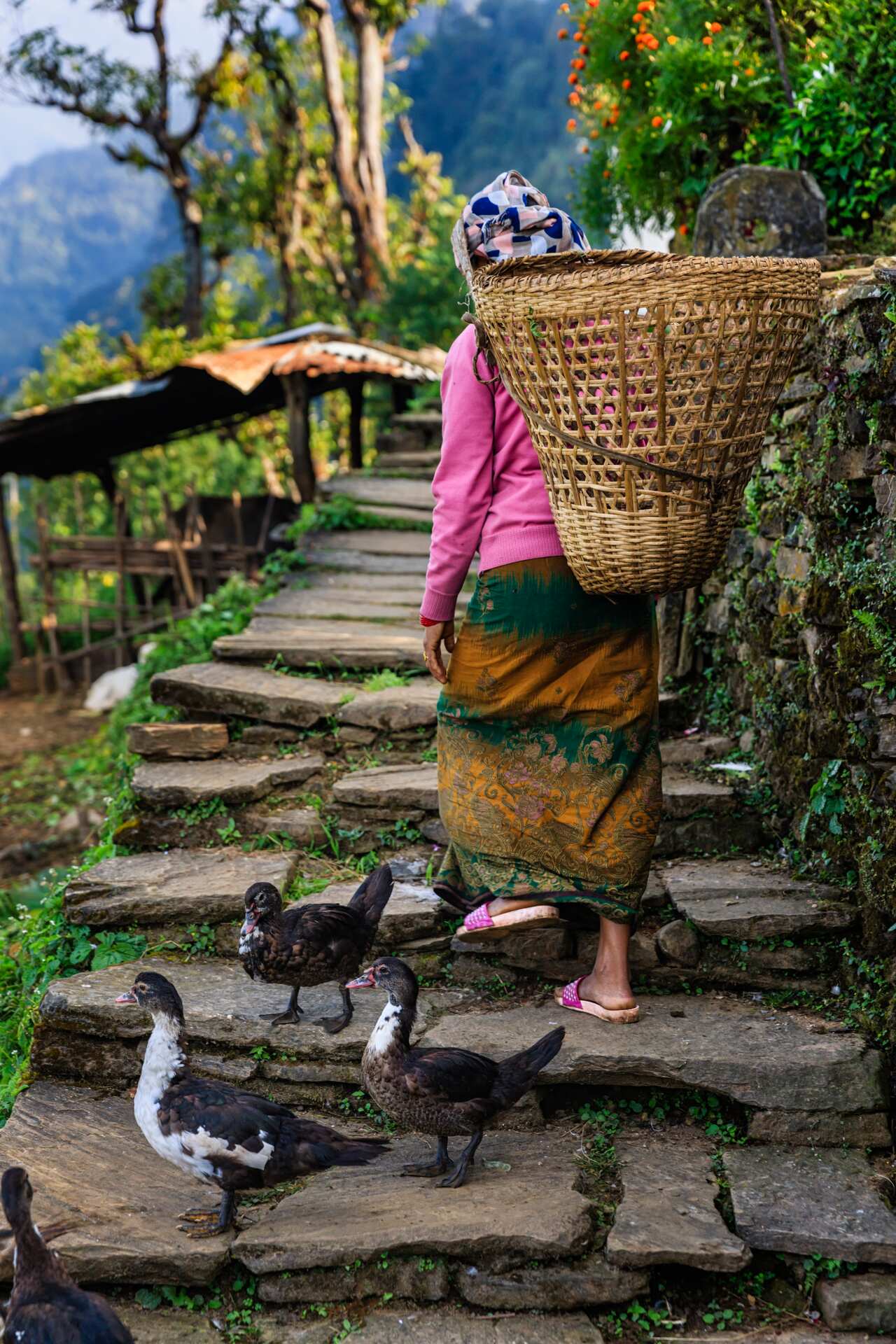 Nepali woman carrying a basket near Annapurna Range