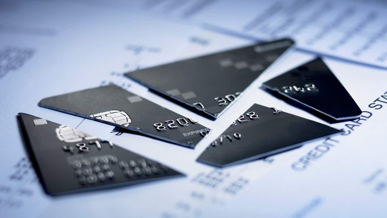 Close up of cut pieces of credit card