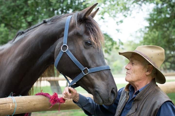 Giovanni e Guglielmo