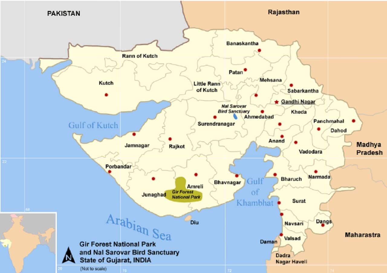 Gir Forest Gujarat