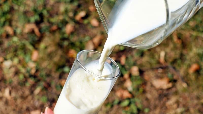 Glass of milk