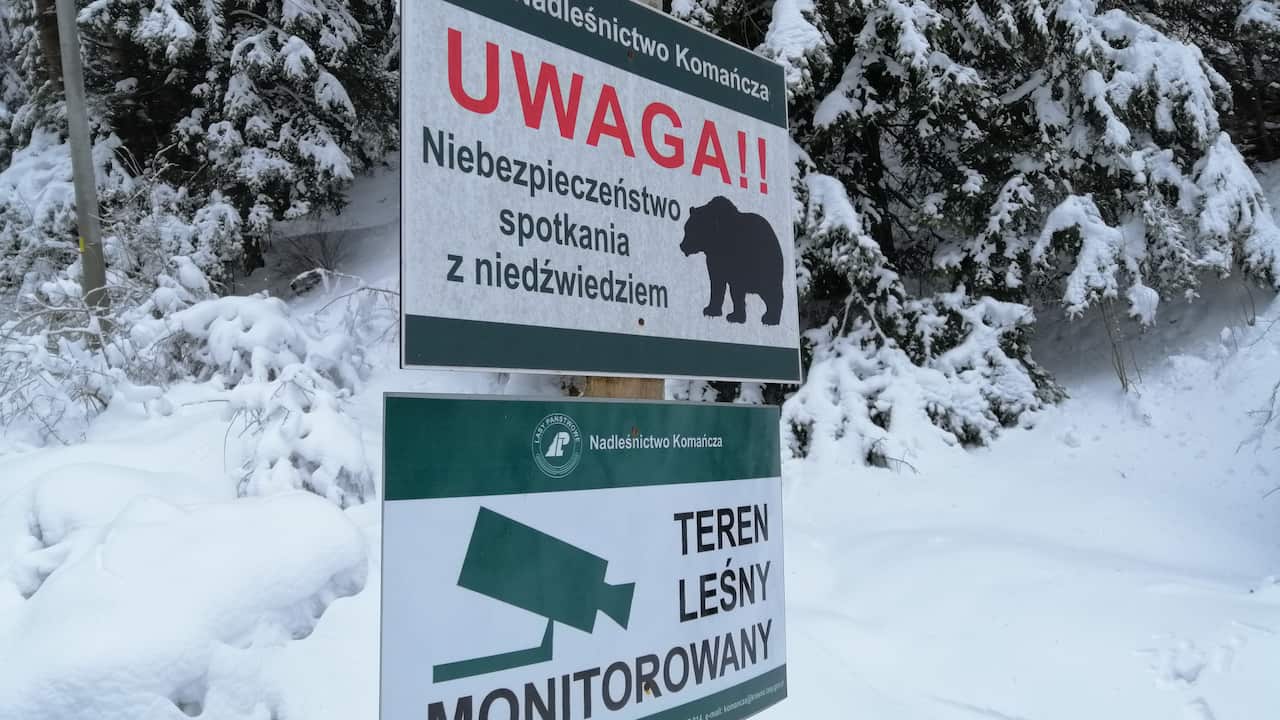 Górska Odyseja