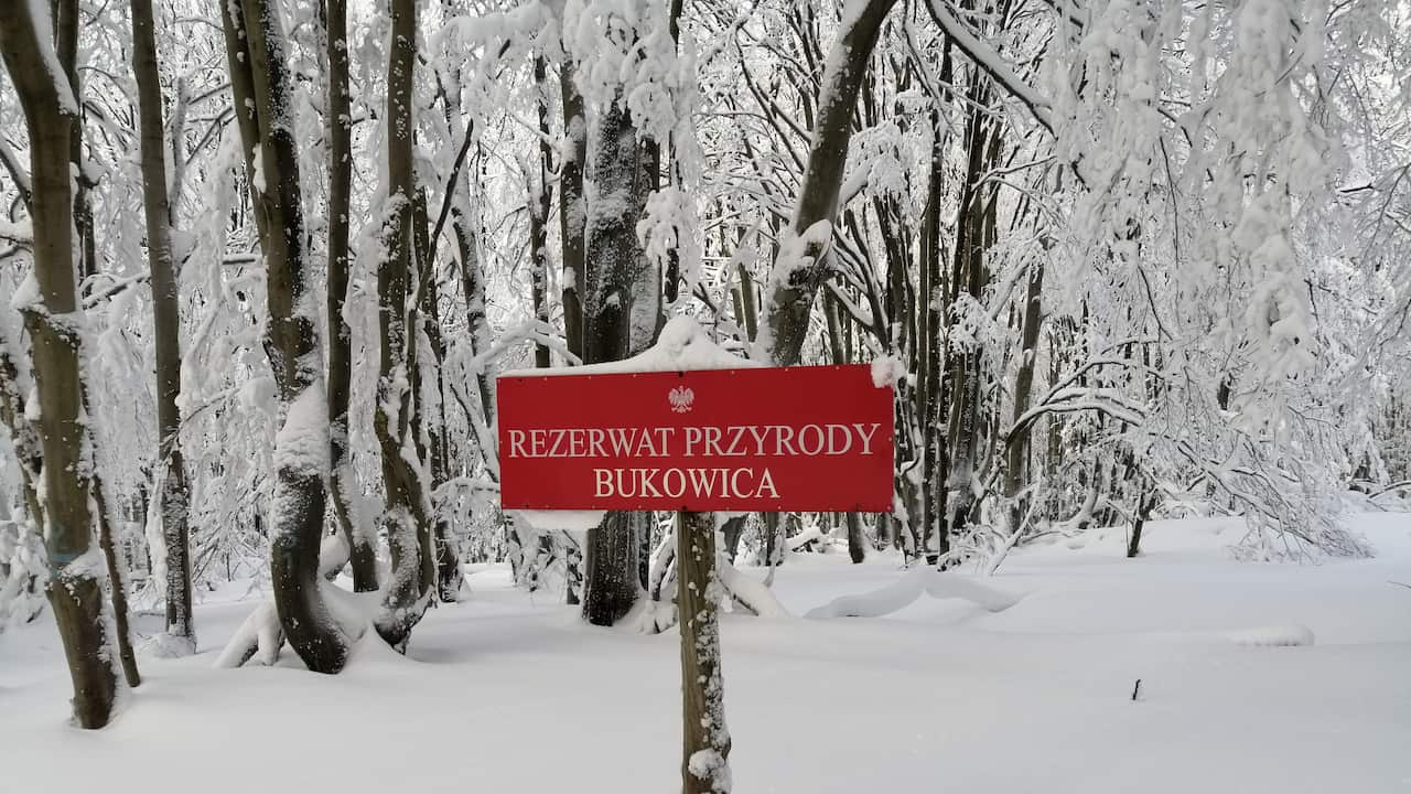 Górska Odyseja