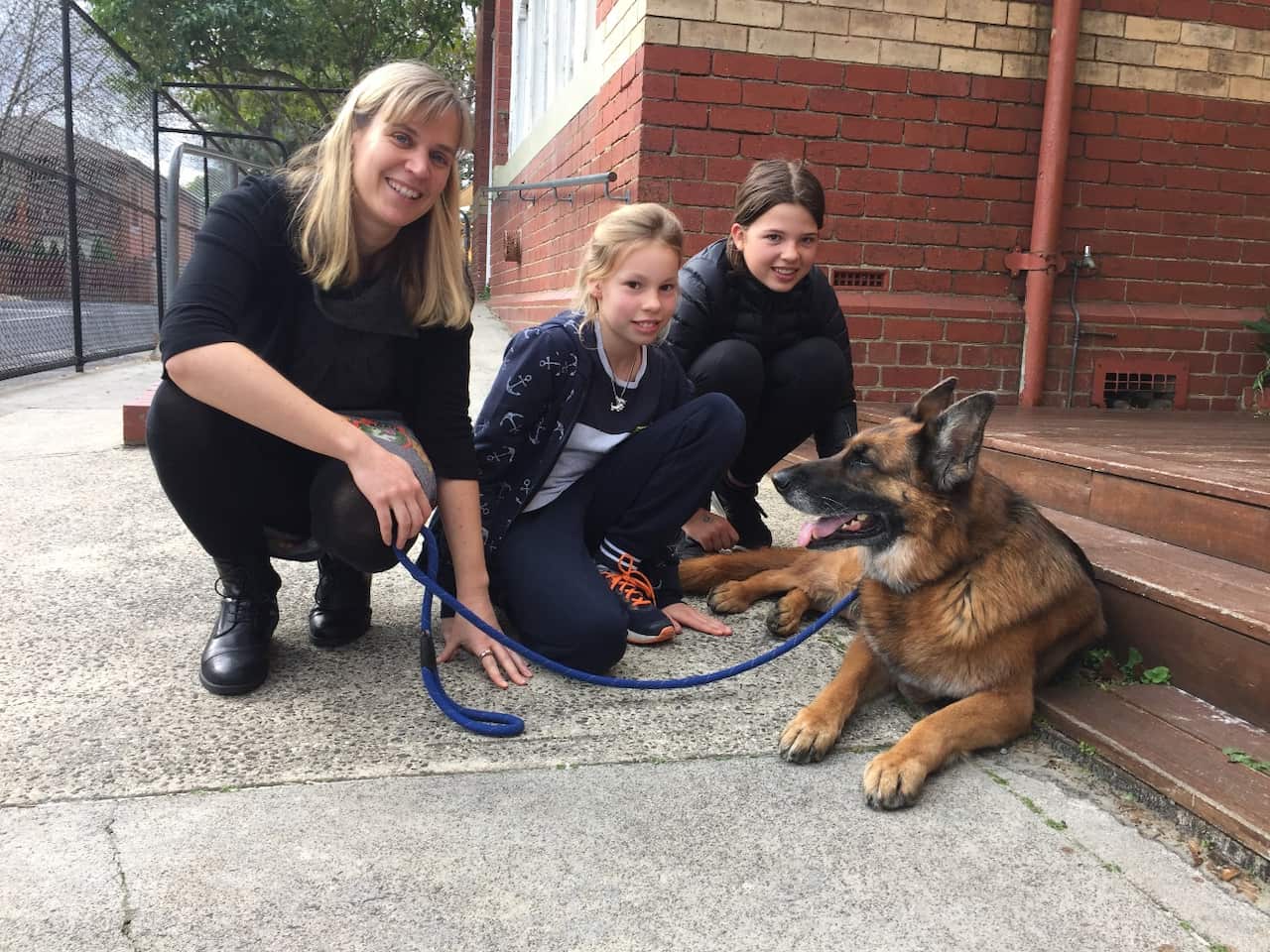 Kaya German Therapy Dog Deutsche Schule Melbourne
