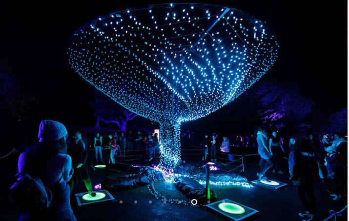 Vivid Sydney