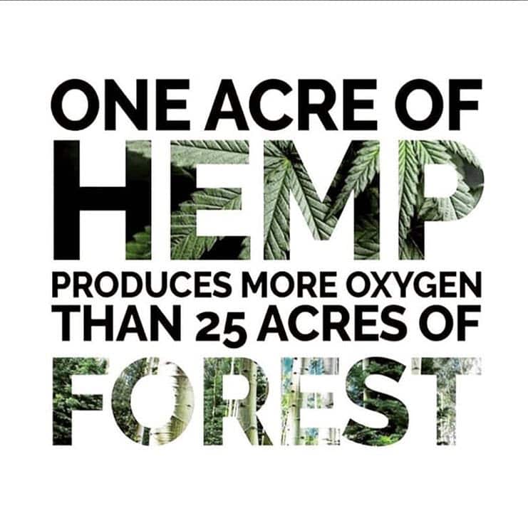 instagram.com/hempkitchen.au/