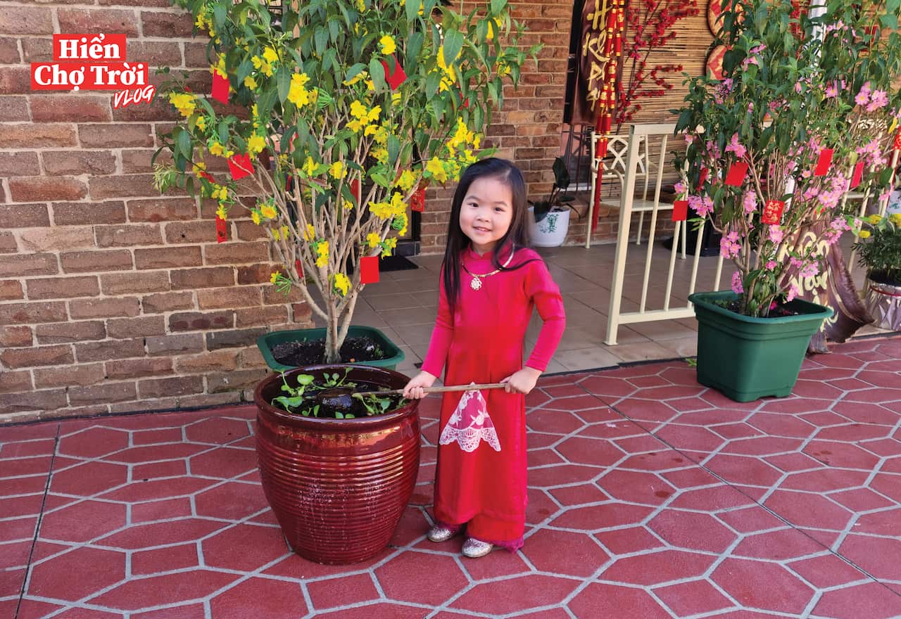 vui xuan