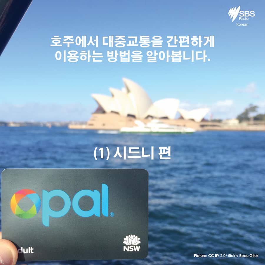 Card News Planning your trip with Opal card in Sydney SBS Korean