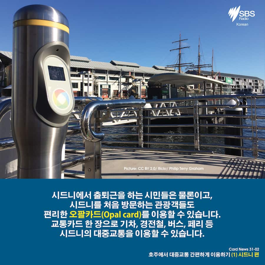 Card News: Planning your trip with Opal card in Sydney