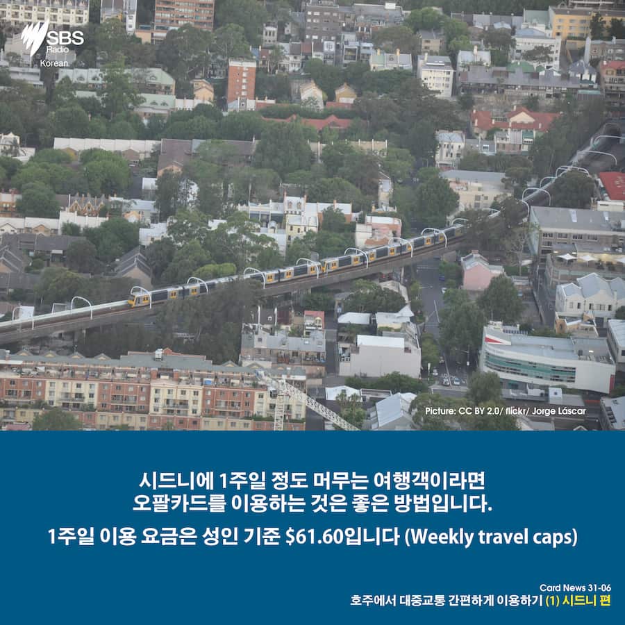 Card News: Planning your trip with Opal card in Sydney