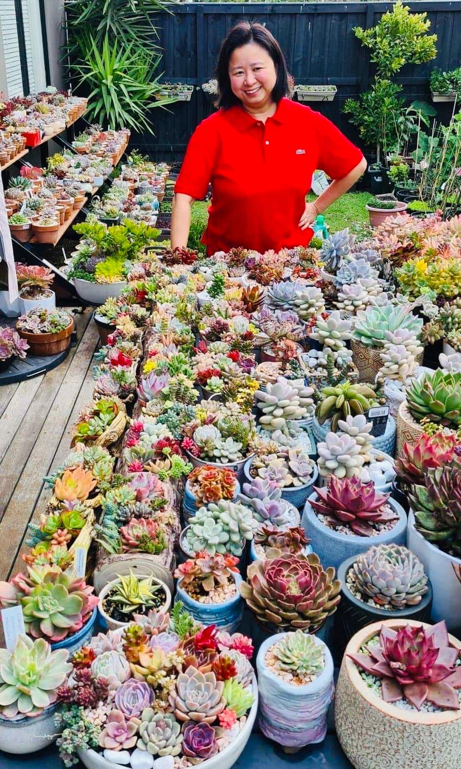 A plant mum to more than 300 succulents