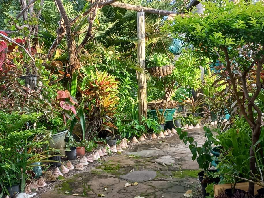 Friday Island