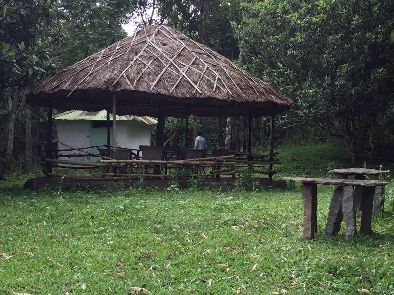 Farm area in Kerala