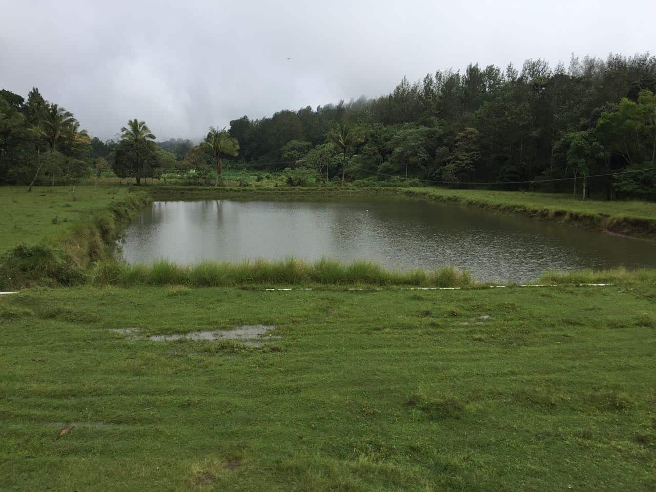 Farming land in Kerala