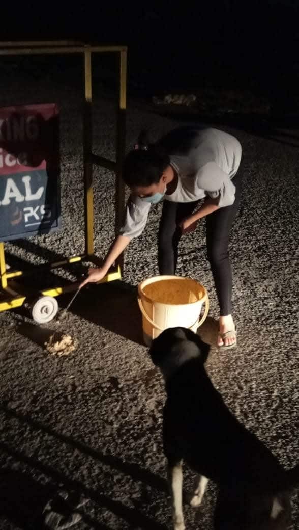 People helping animals