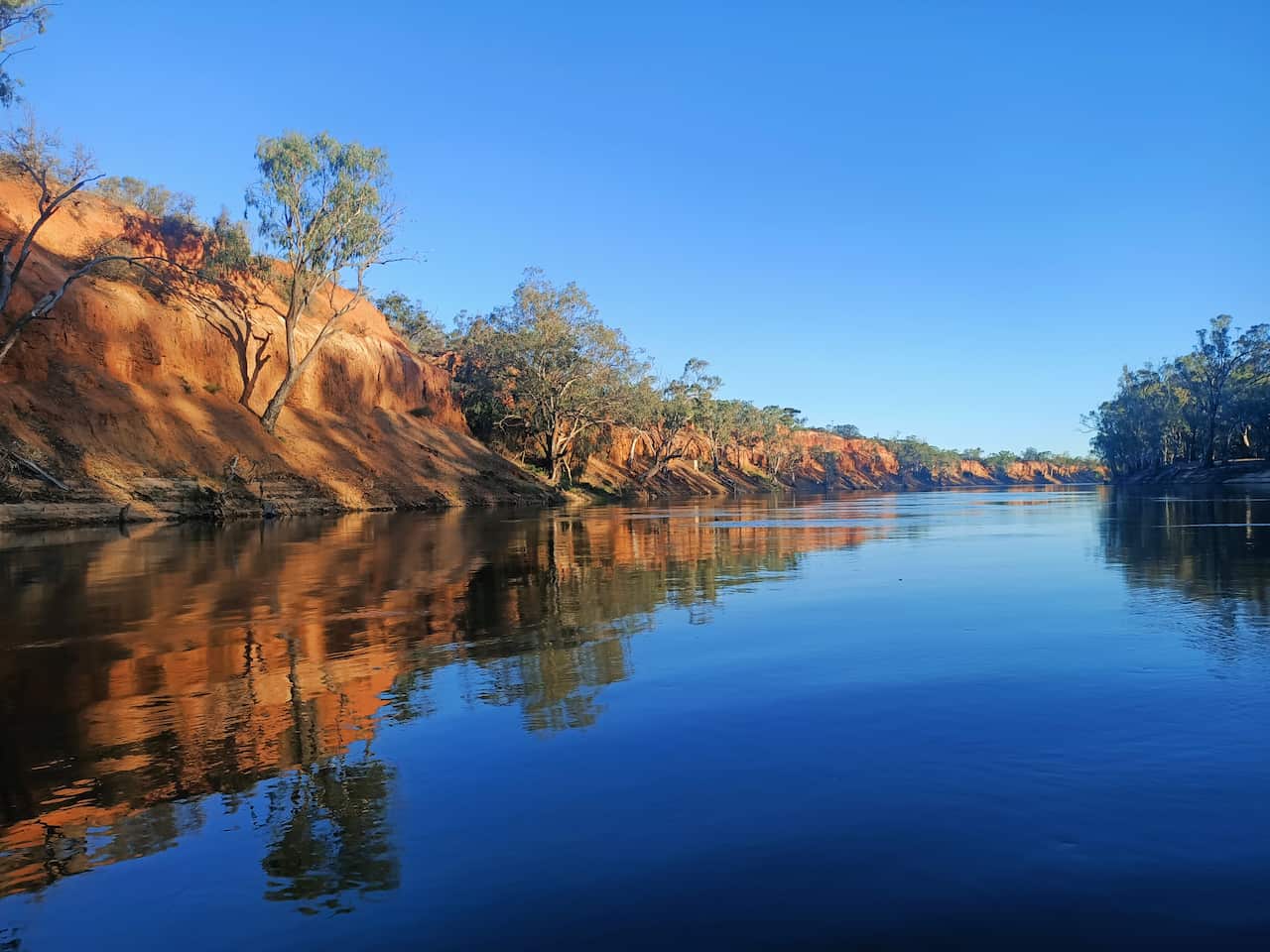 Murray River view