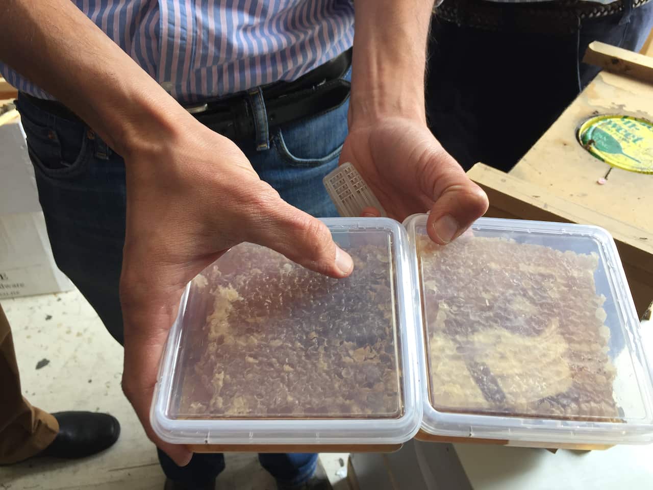 Honeycomb