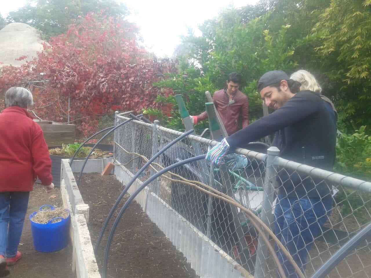 The Yazidi families in Wagga Wagga 7 months after arriving