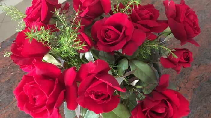 Red roses