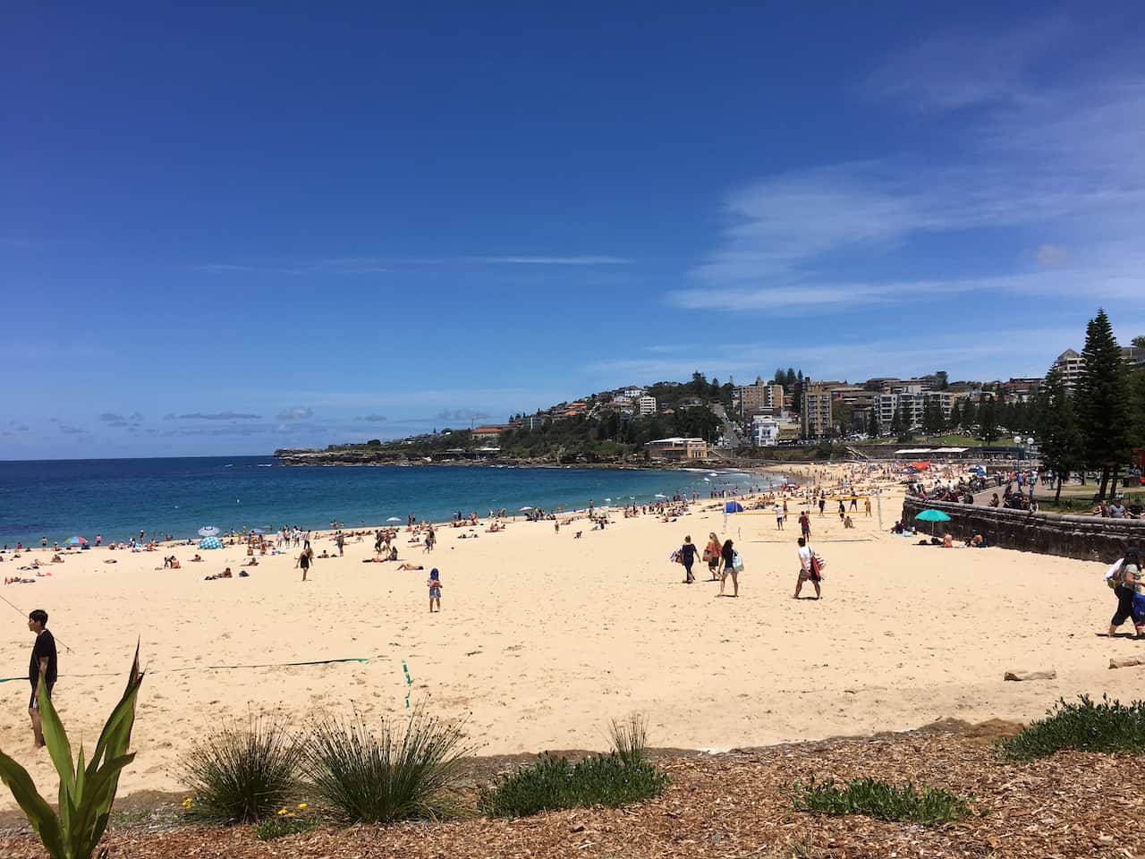 Coogee beach