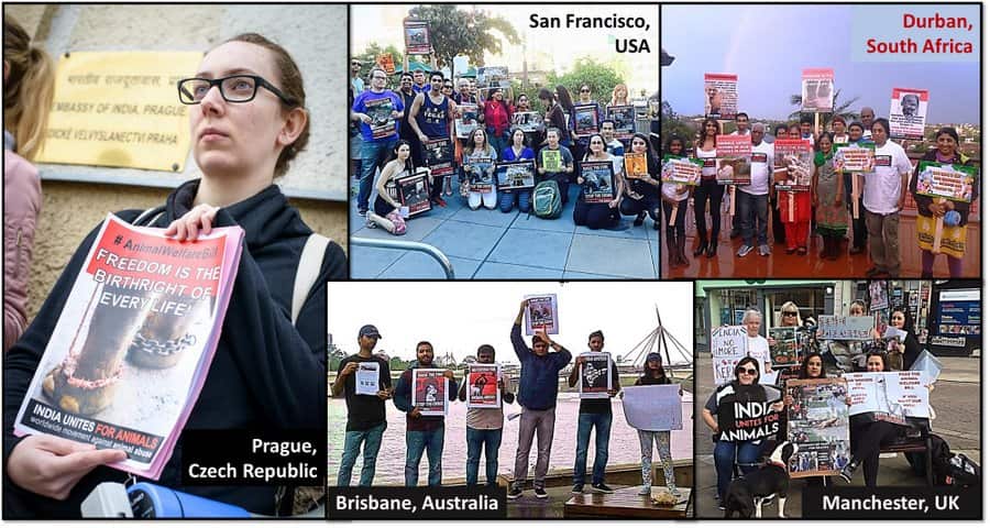 India Unites for Animals Launch