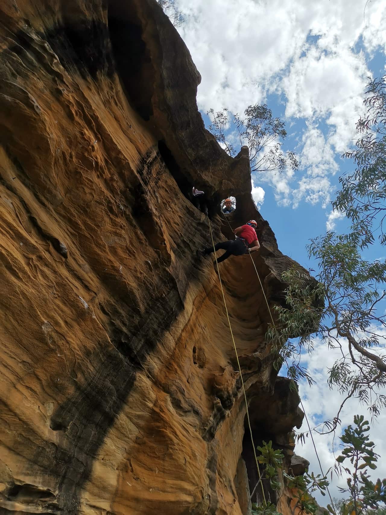 drop down