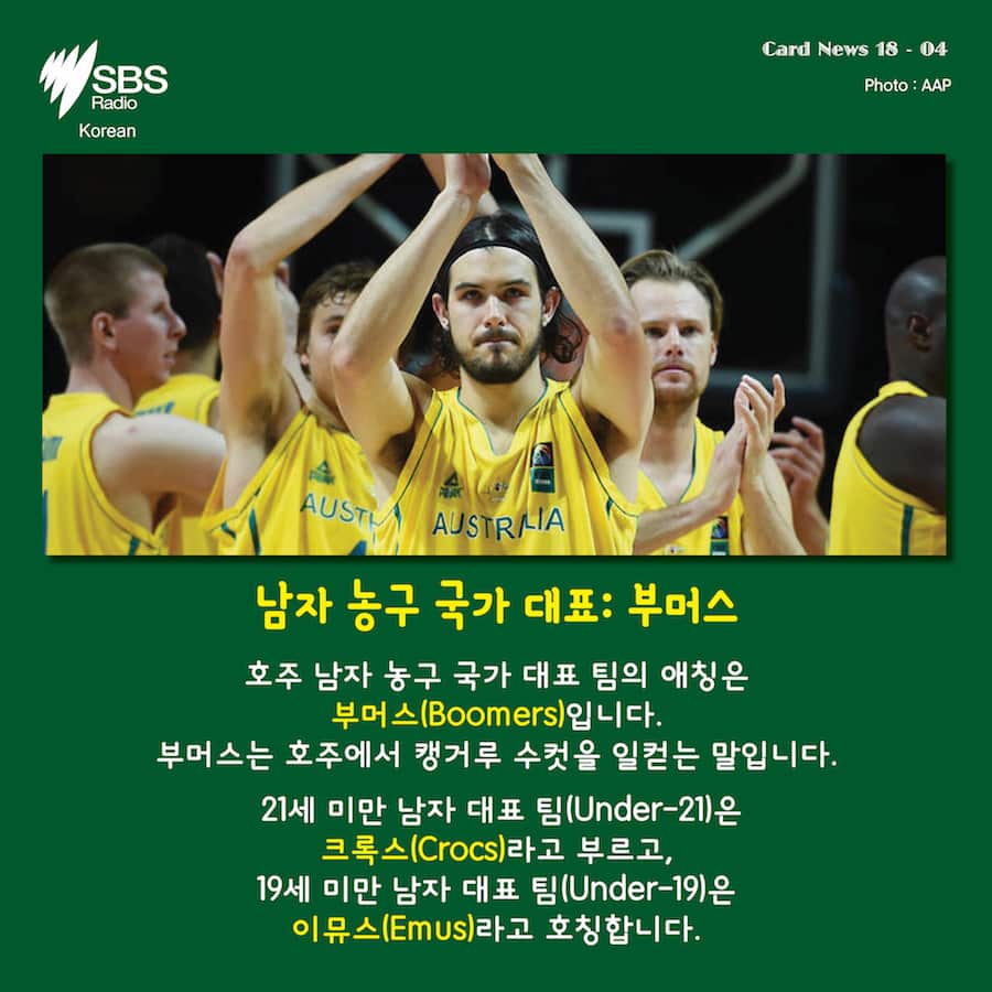Card News: Do you know nicknames for the Australian national sports team?