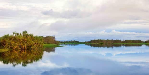 Wetlands