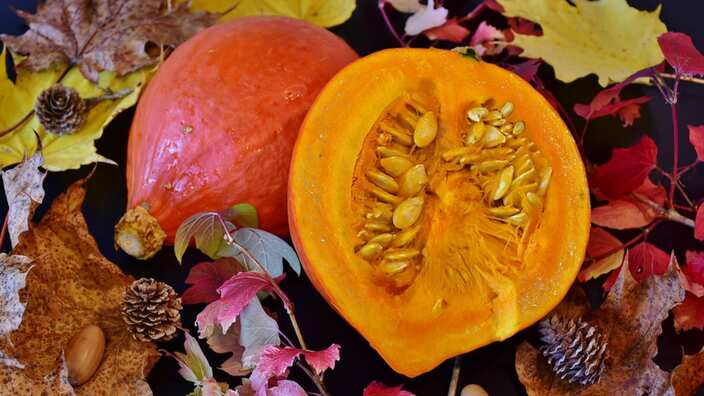 Pumpkin seeds