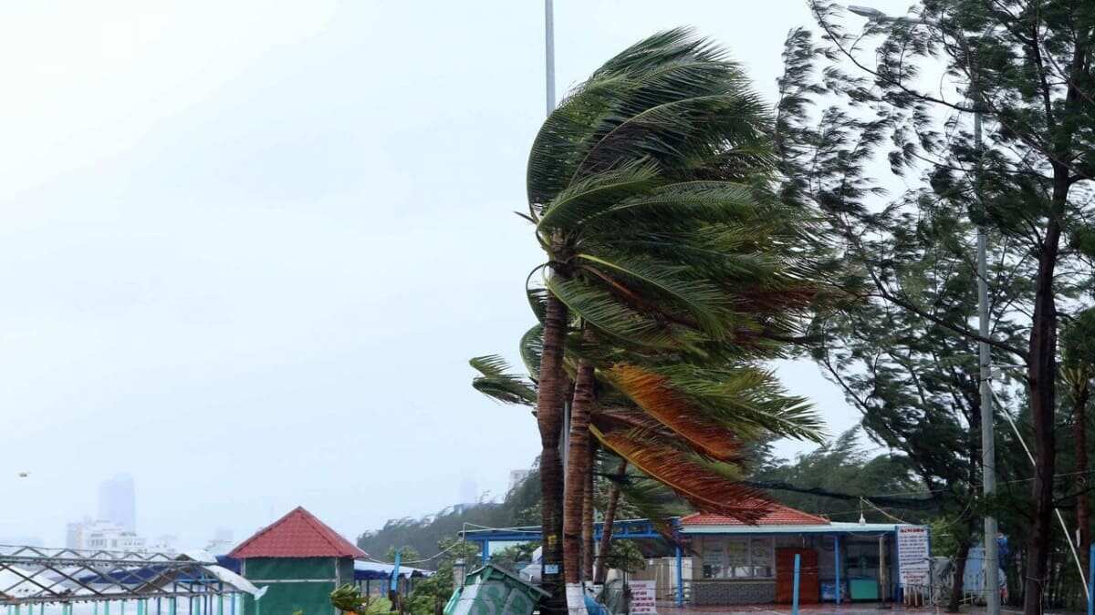 Strong winds blow as typhoon Molave approaches in Danang, Vietnam.