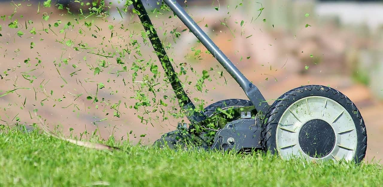 How do I properly maintain my lawn in summer?