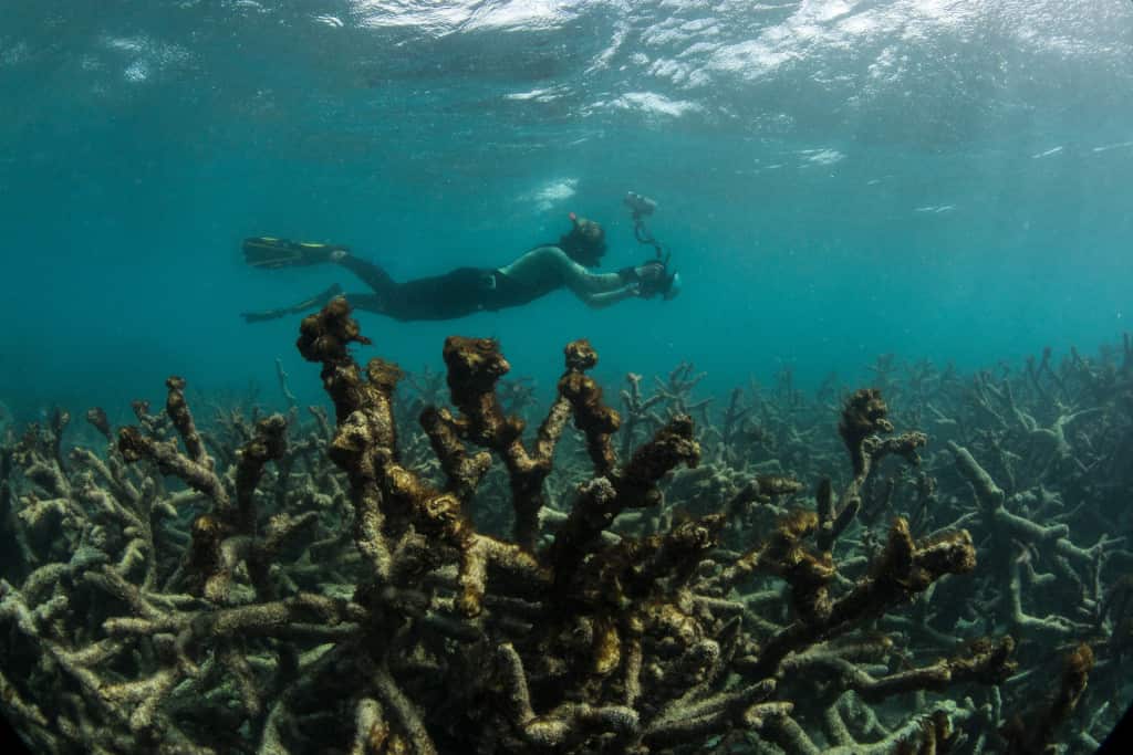 Great Barrier Reef