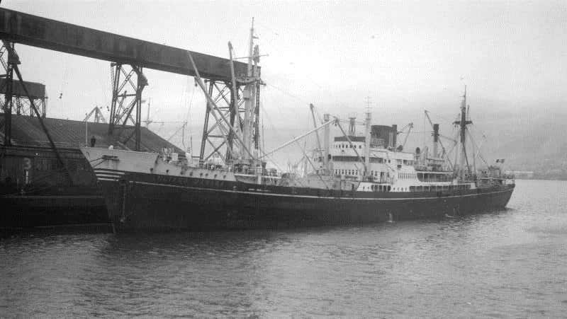 Luciana Manara docks in Sydney 1949