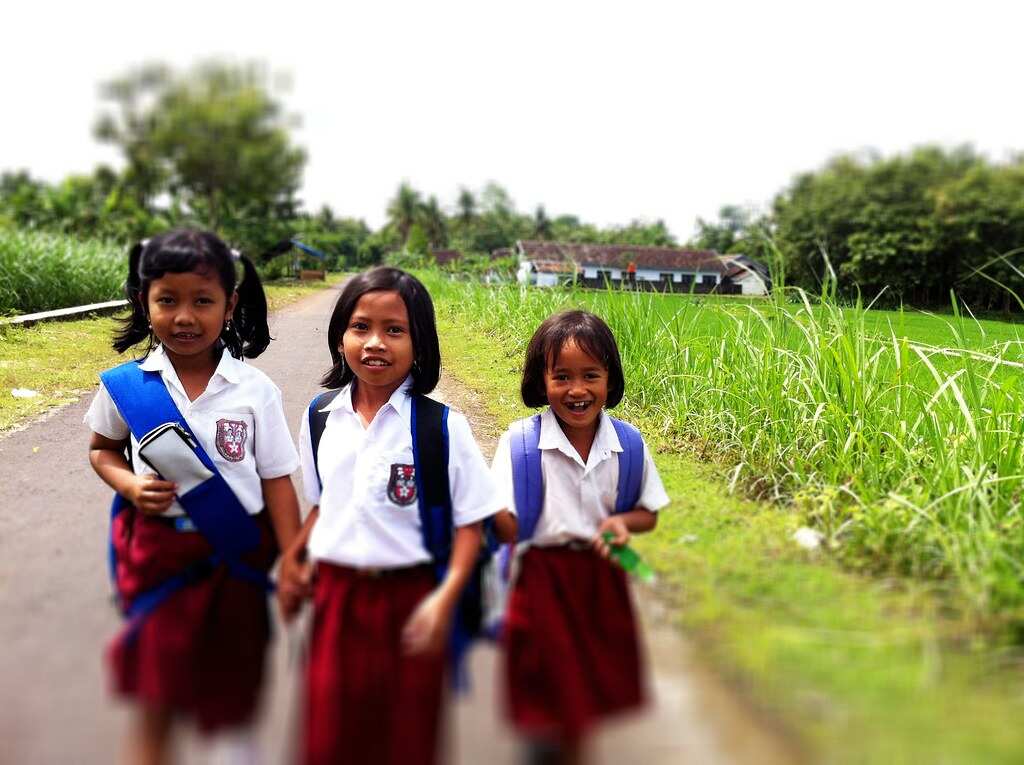Indonesian primary school students on their way to school.