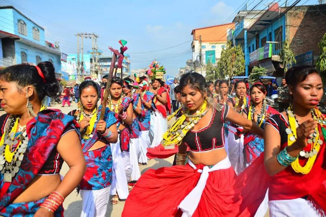 maghi celebration