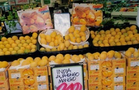 Indian Mango
