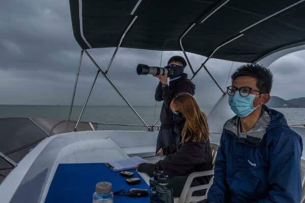 上個月，香港海豚保護協會的工作人員尋找這種哺乳動物。