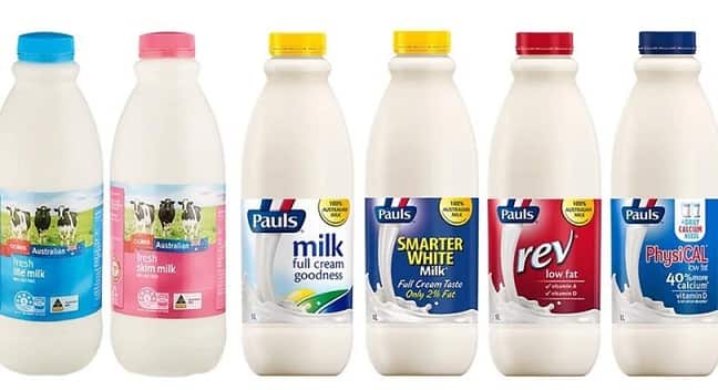 milk 