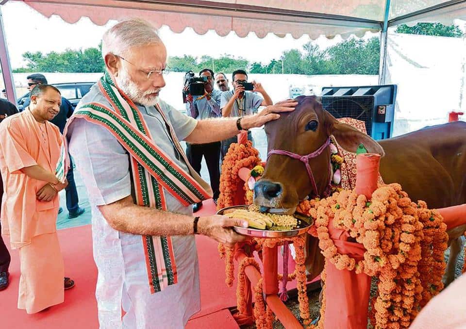Modi with a cow