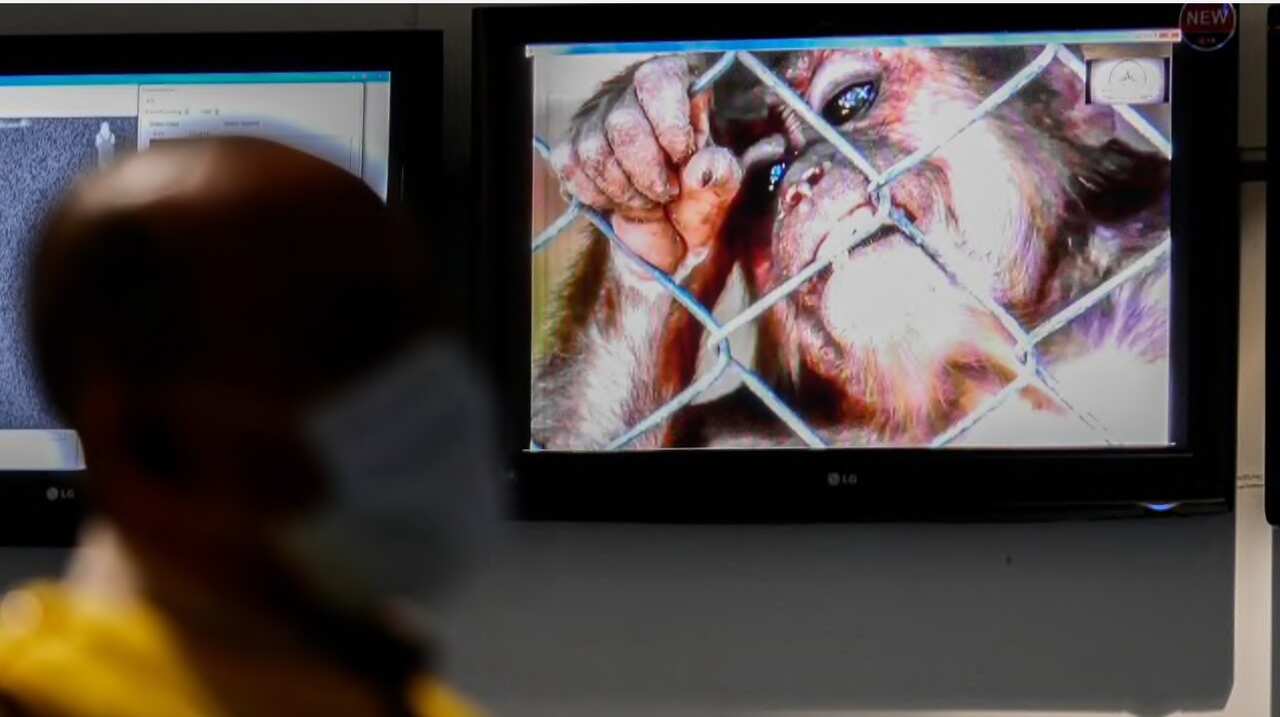 A health officer stands in front of a monkeypox virus information