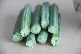 Moringa the miracle tree