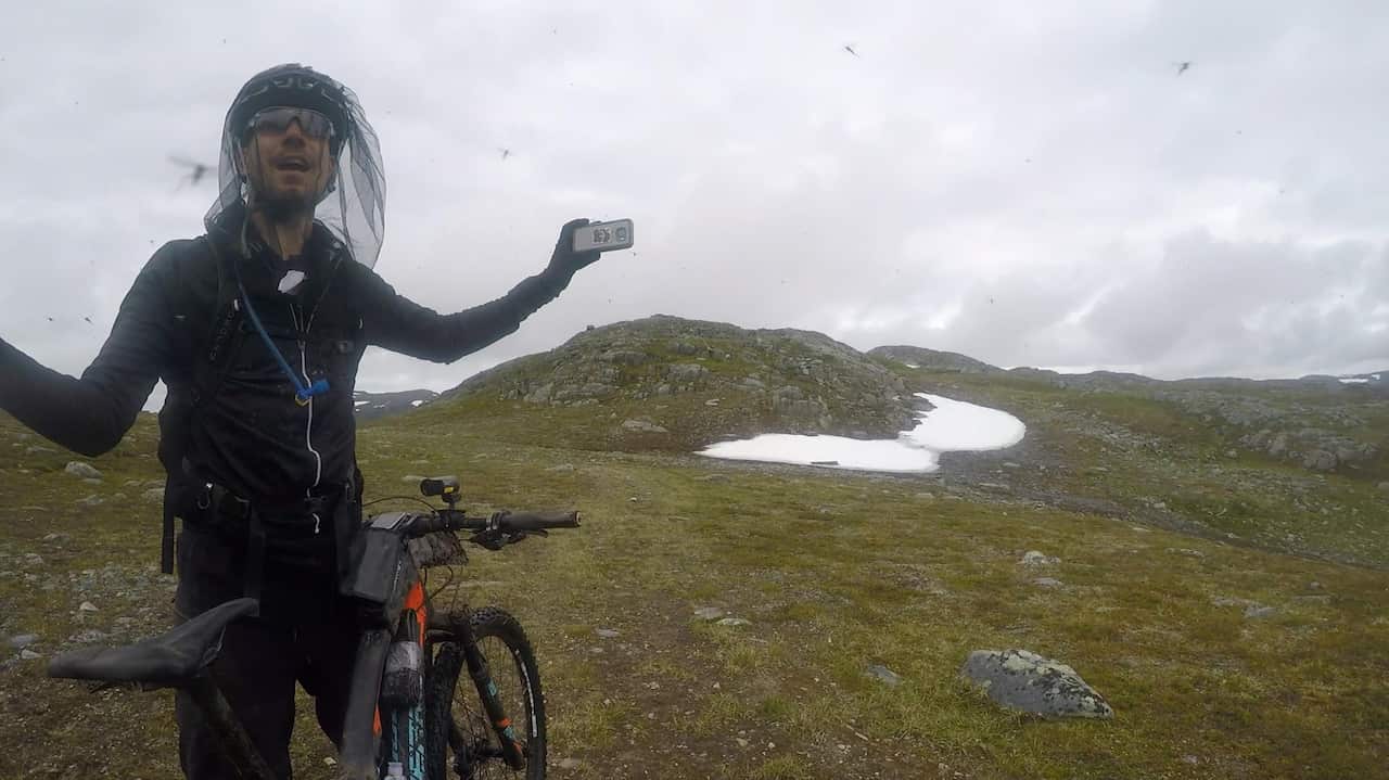 The 'national bird' of Finnmarksvidda