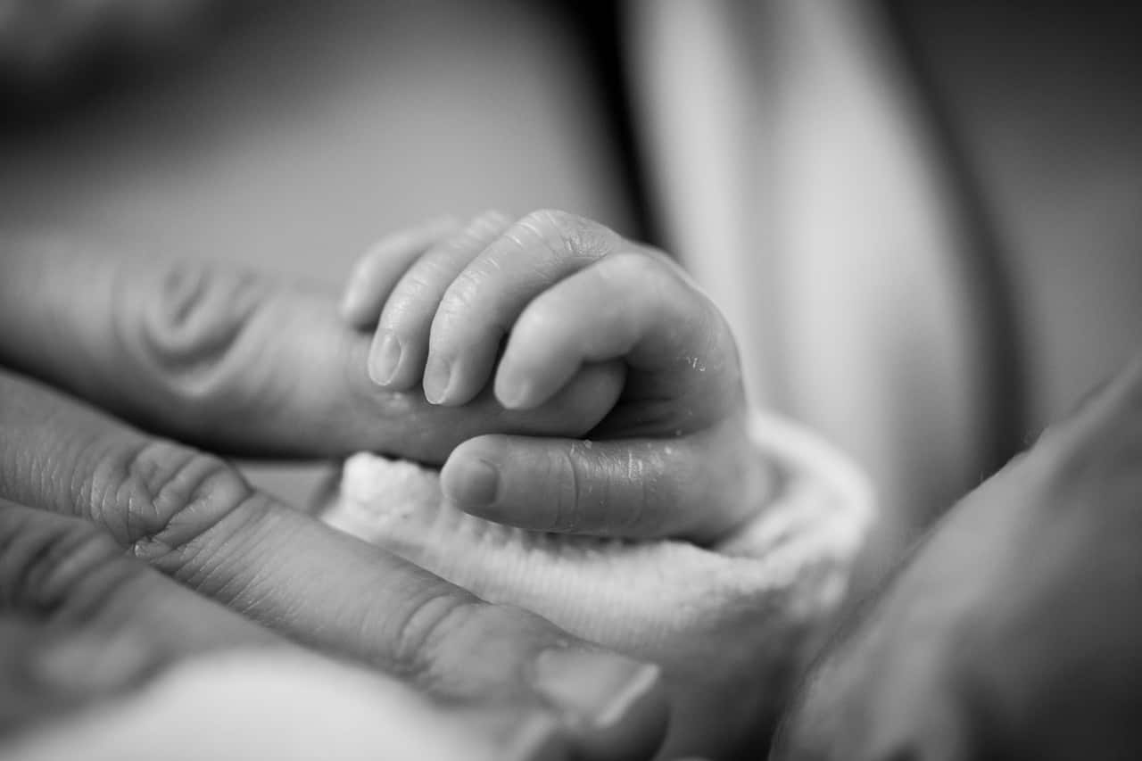 newborn