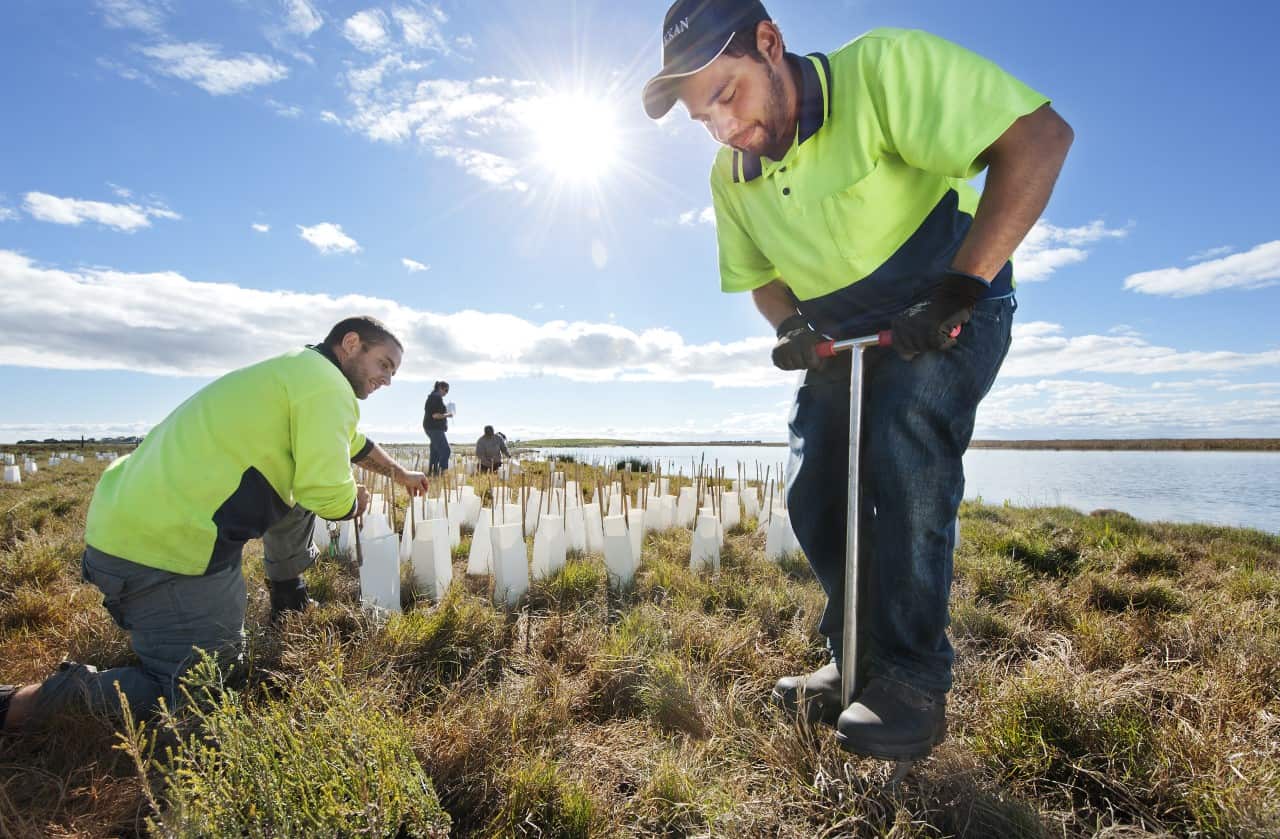 Ngarrindjeri caring as Country