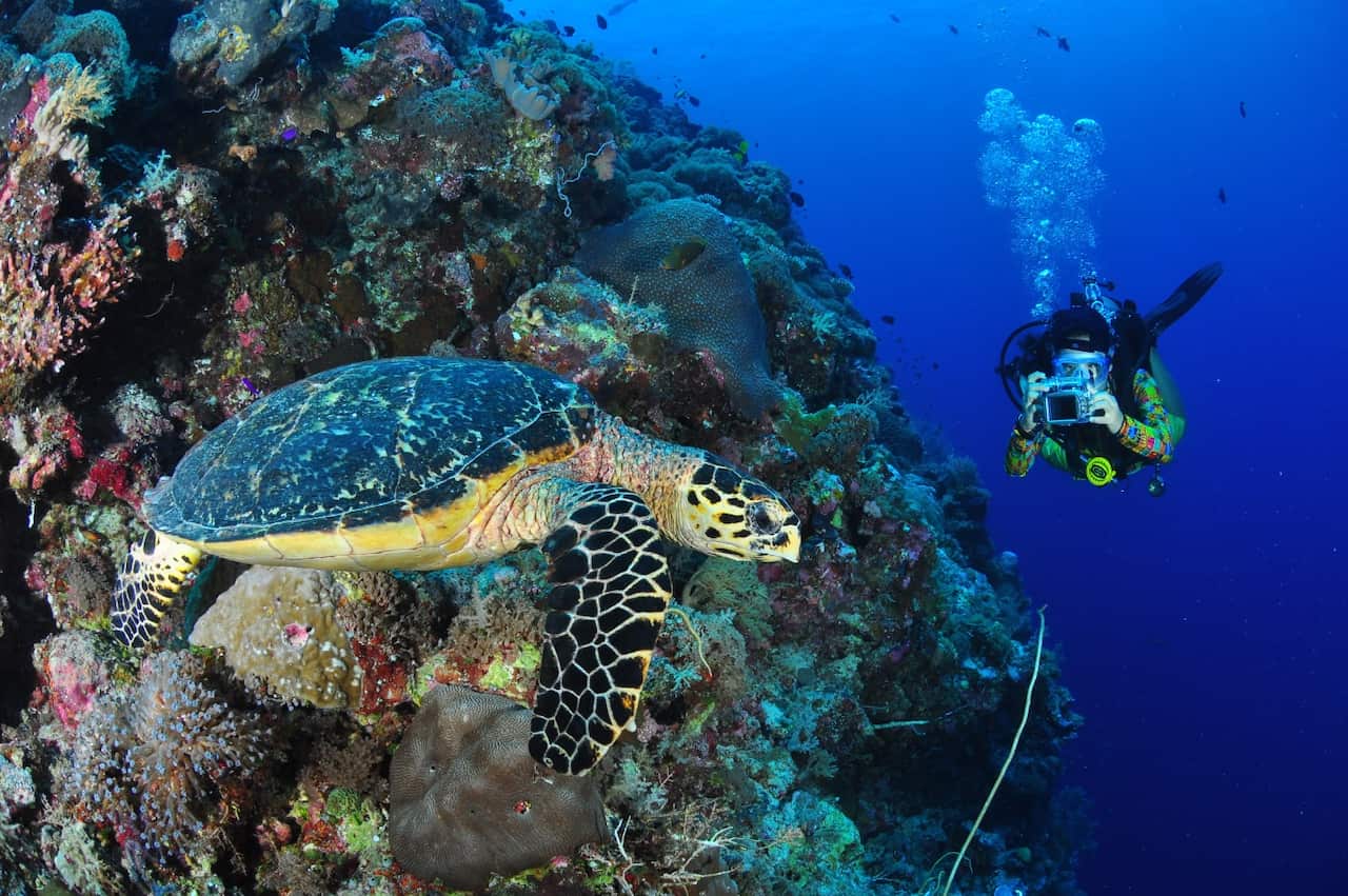 Diving