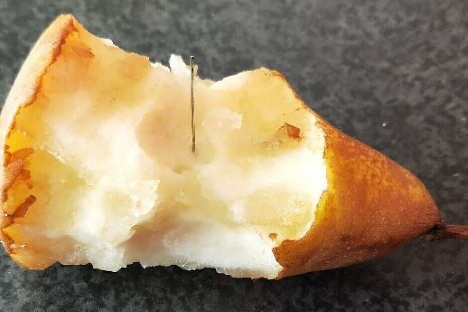needle in pear