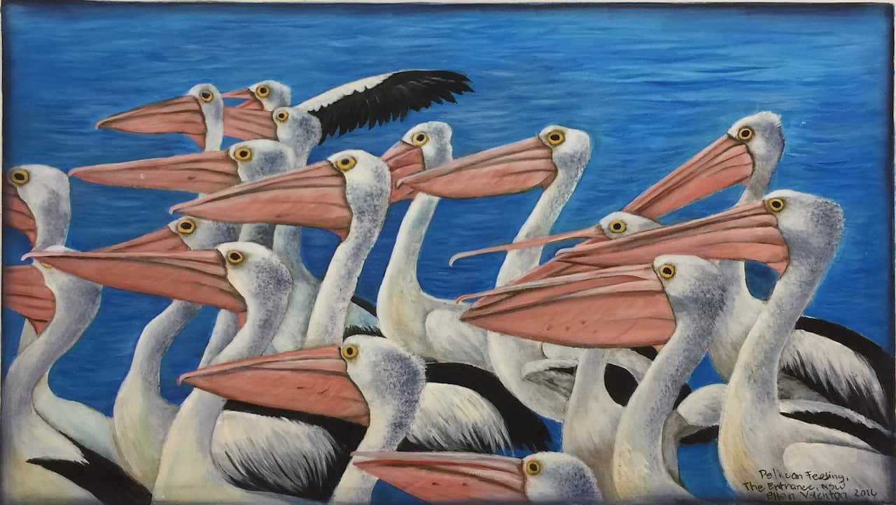 The Pelicans