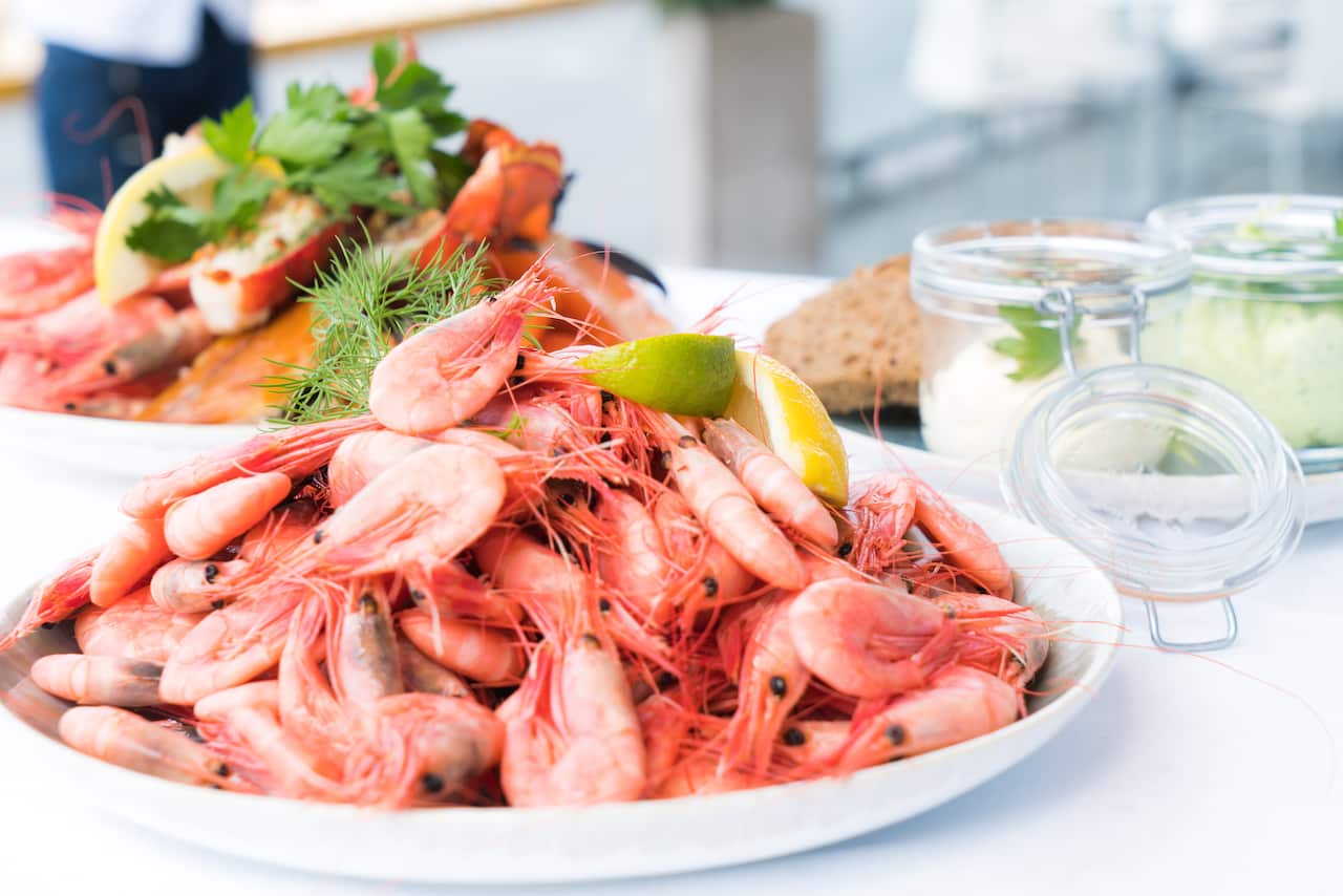culture shock, cold shrimp