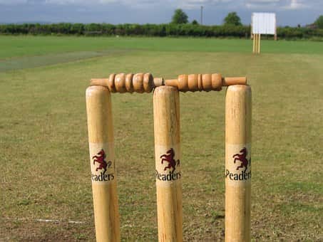 Cricket